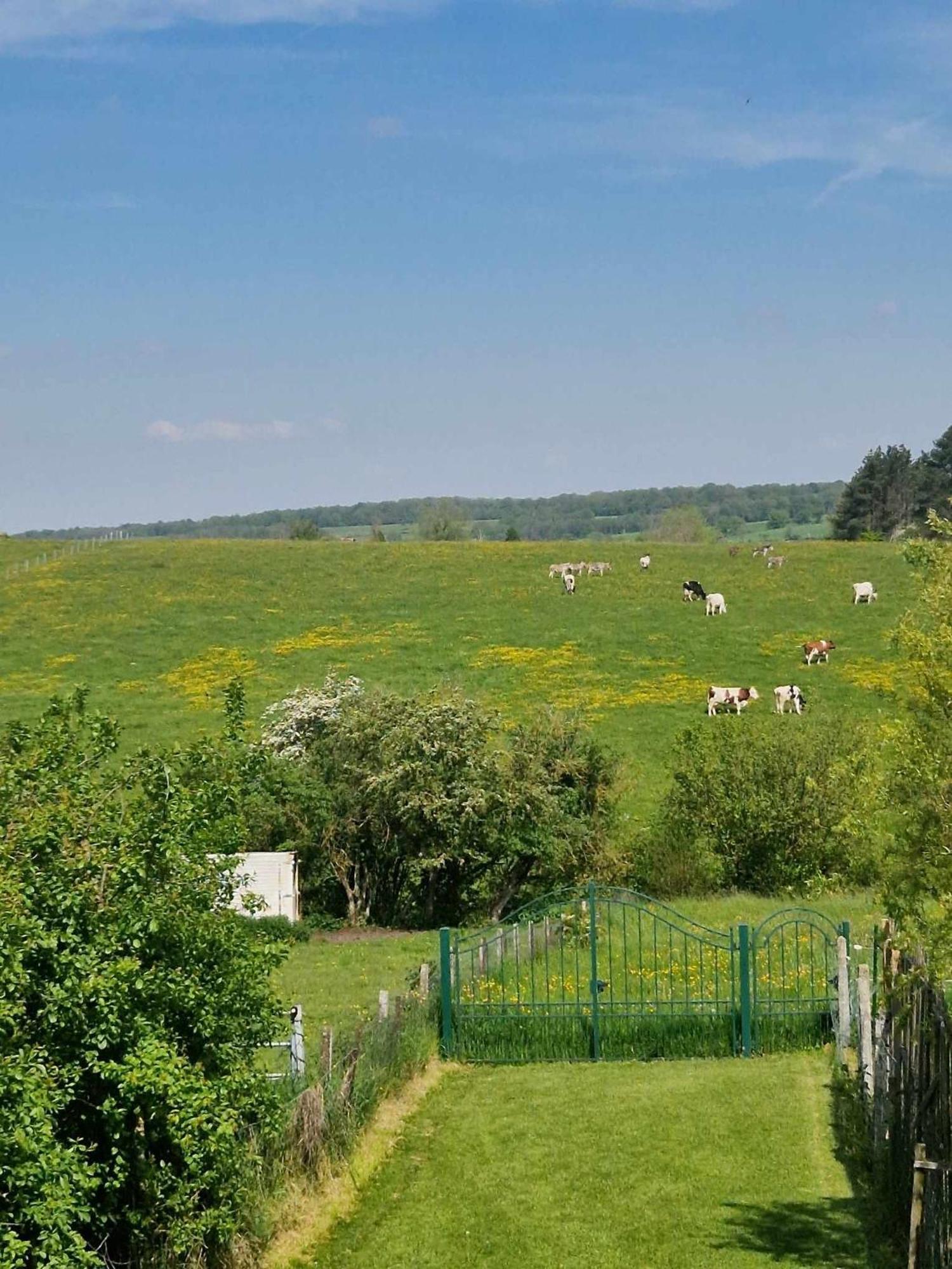 Gites Paille-Foin Cerfontaine Kültér fotó